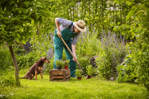 Gardener tending a green urban garden in Tufnell Park