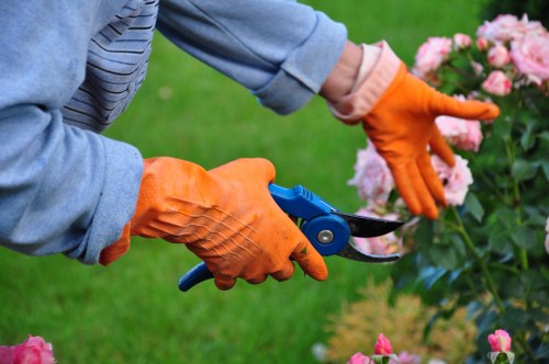 Gardener performing maintenance in a terraced house garden