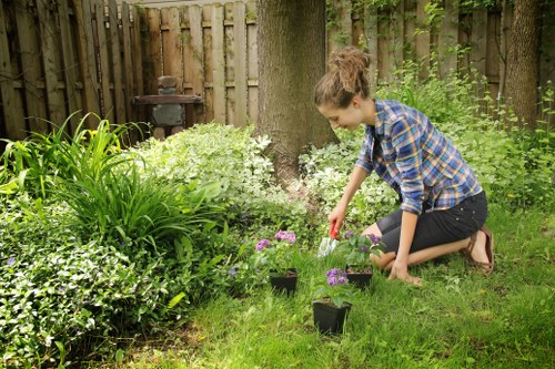 Eco-friendly tree care practices in action