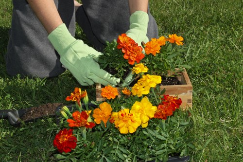 Lush green lawn being maintained by professional gardening services